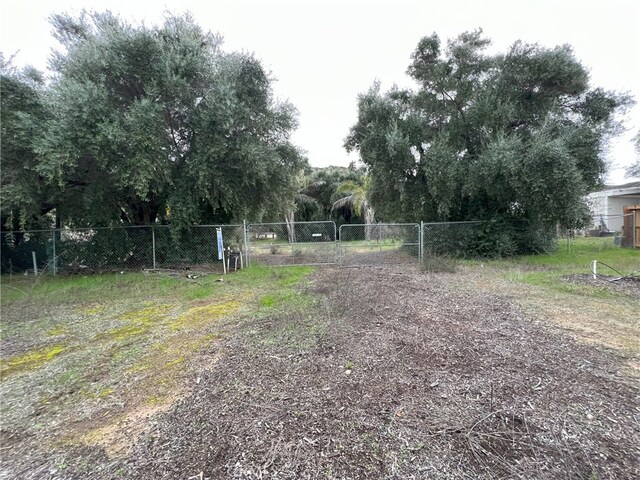 20787 Alameda Del Monte, Wildomar, CA 92595 - photo 11