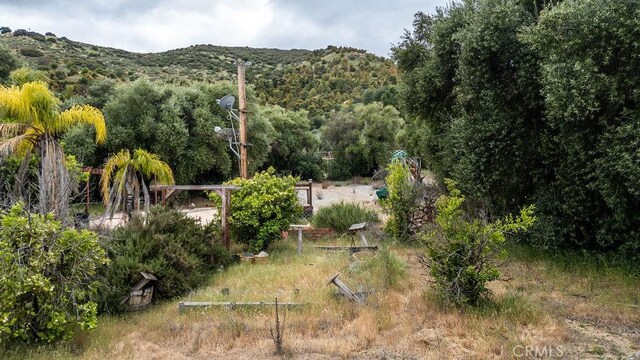 20787 Alameda Del Monte, Wildomar, CA 92595 - photo 9
