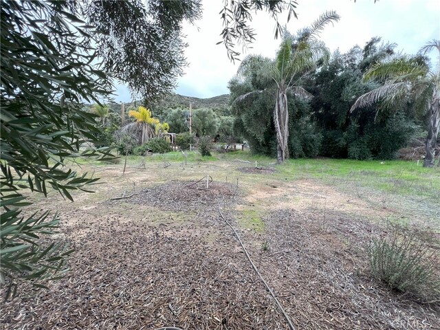 20787 Alameda Del Monte, Wildomar, CA 92595 - photo 18