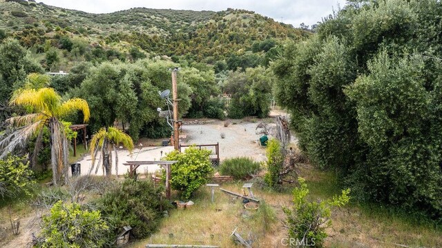 20787 Alameda Del Monte, Wildomar, CA 92595 - photo 10