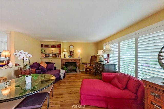 living room featuring wood finished floors and a fireplace