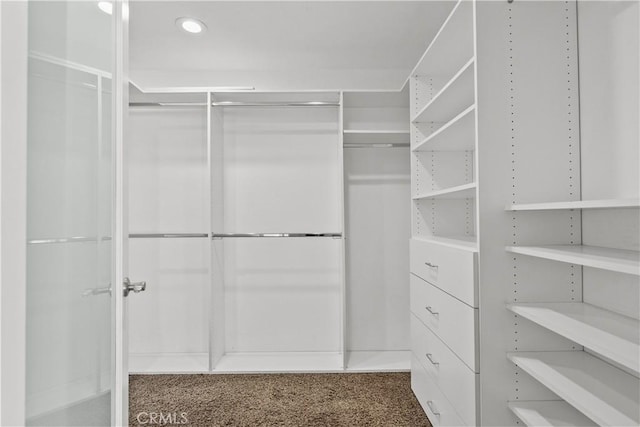 561 S Ventu Park Rd, Newbury Park, CA 91320 - walk in closet with dark carpet