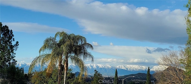 1475 Trenton Dr, Riverside, CA 92506 - view of mountain backdrop