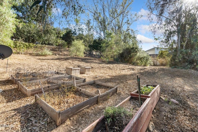 11380 N Ventura Ave, Ojai, CA 93023 - view of yard with a vegetable garden
