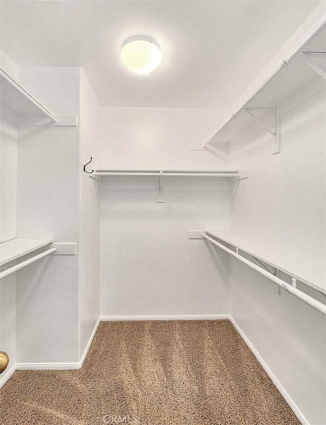 37089 Meadow Brook Way, Beaumont, CA 92223 - walk in closet featuring carpet flooring