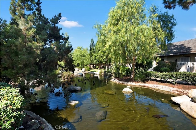 22951 Caminito Viento, Laguna Hills, CA 92653 - water view with a garden pond
