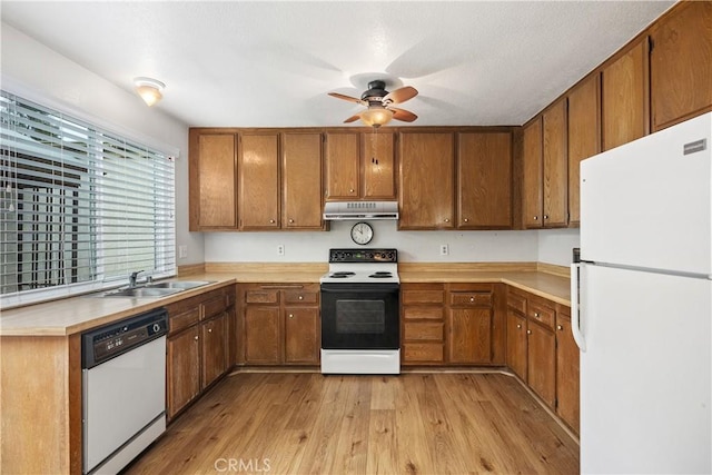 22951 Caminito Viento, Laguna Hills, CA 92653 - kitchen featuring white appliances, under cabinet range hood, a sink, ceiling fan, and brown cabinets