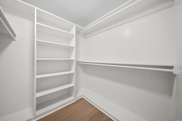 spacious closet featuring wood finished floors