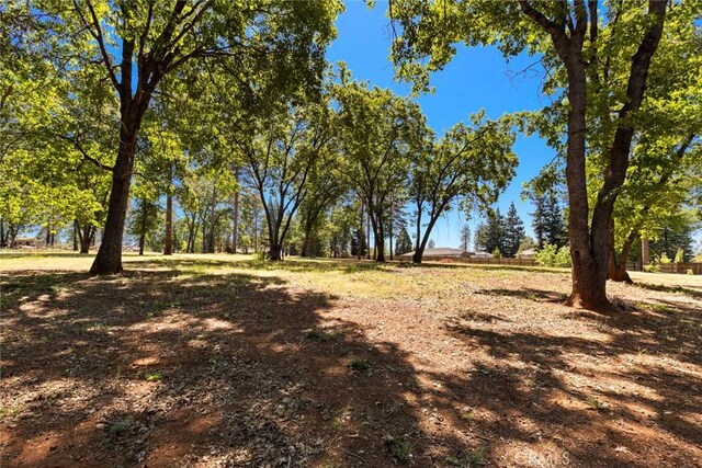 0 Libby Rd, Paradise, CA 95969 - photo 11