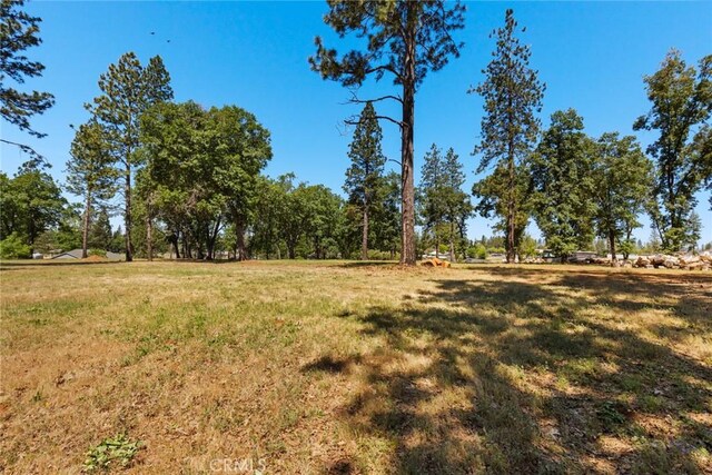 0 Libby Rd, Paradise, CA 95969 - photo 9