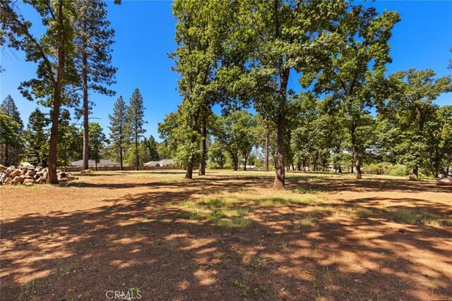 0 Libby Rd, Paradise, CA 95969 - photo 8