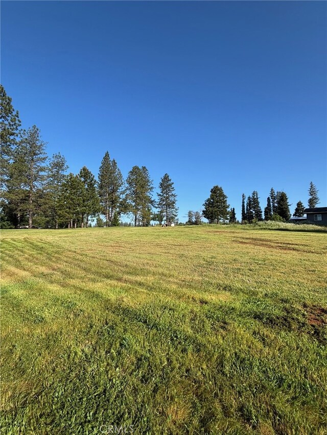 0 Libby Rd, Paradise, CA 95969 - photo 4