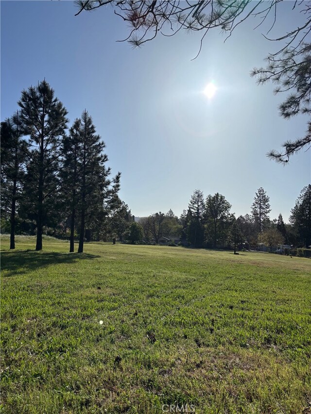 0 Libby Rd, Paradise, CA 95969 - photo 5