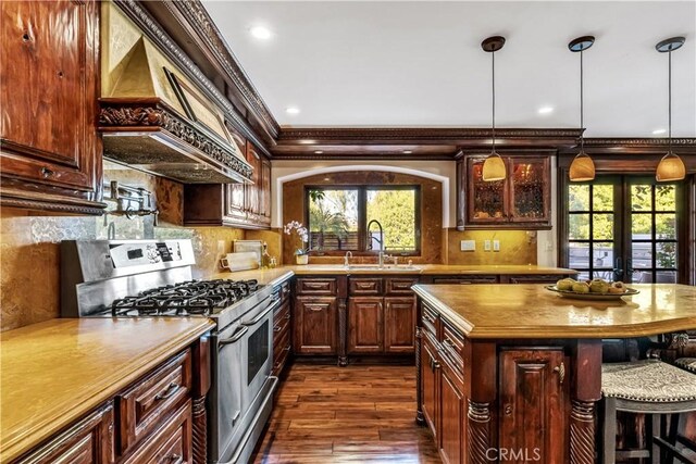 kitchen featuring stainless steel gas stove, premium range hood, dark wood-type flooring, a kitchen bar, and plenty of natural light