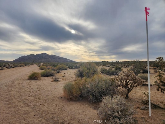 4147 Sunburst St, Joshua Tree, CA 92252