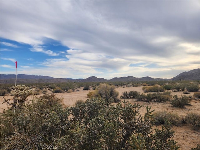 4147 Sunburst St, Joshua Tree, CA 92252