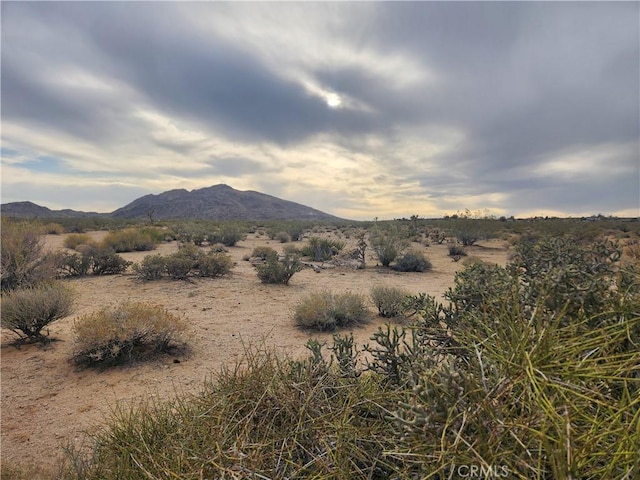 4147 Sunburst St, Joshua Tree, CA 92252