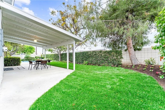 view of yard featuring a patio