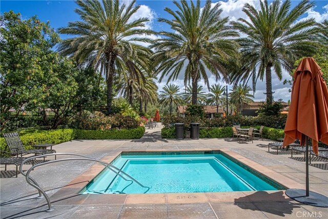 135 Bridle Path, Irvine, CA 92602 - view of pool with a swimming pool and a patio