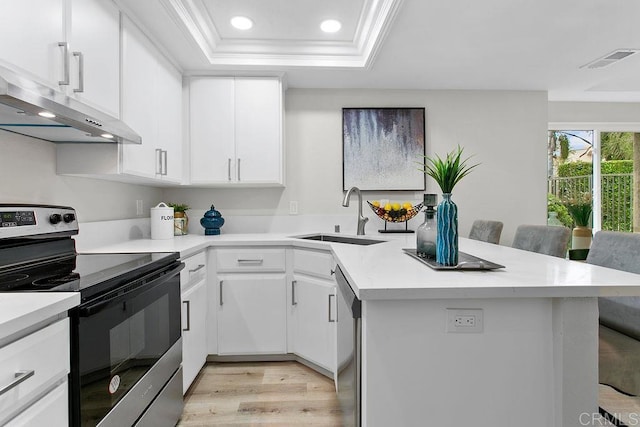 kitchen featuring appliances with stainless steel finishes, under cabinet range hood, a sink, a raised ceiling, and a peninsula
