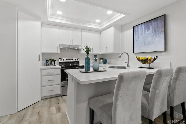 kitchen featuring stainless steel electric range oven, a sink, a raised ceiling, under cabinet range hood, and light countertops