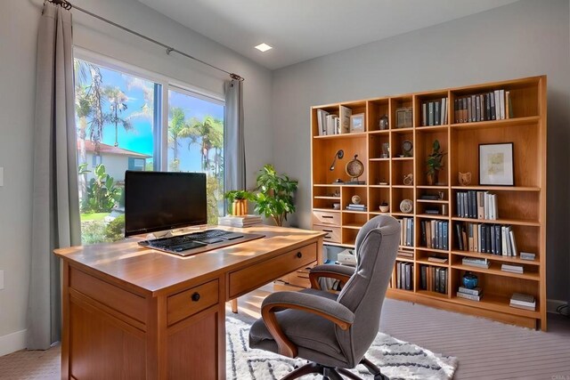 office featuring carpet