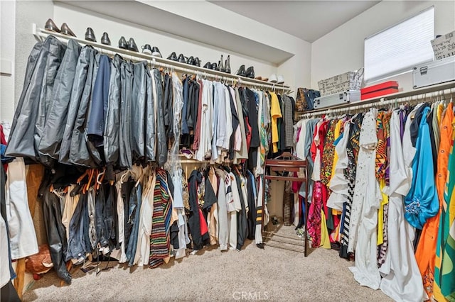 walk in closet featuring carpet flooring