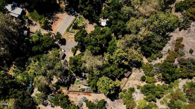 2939 Matilija Canyon Rd, Ojai, CA 93023 - photo 43