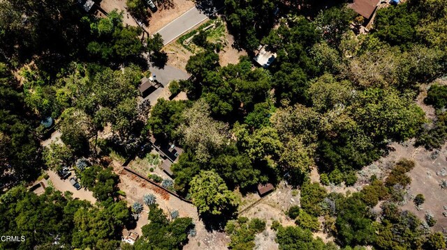 2939 Matilija Canyon Rd, Ojai, CA 93023 - photo 42