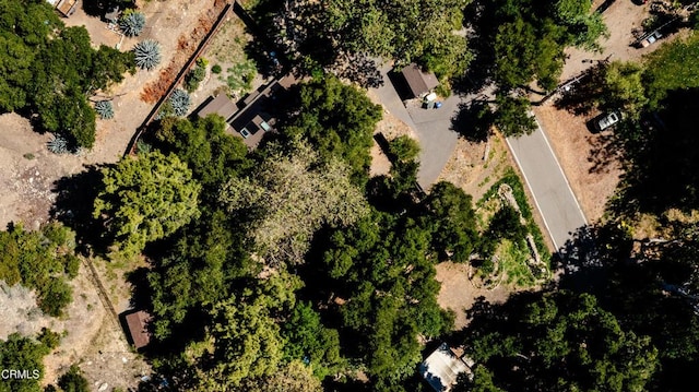2939 Matilija Canyon Rd, Ojai, CA 93023 - photo 41