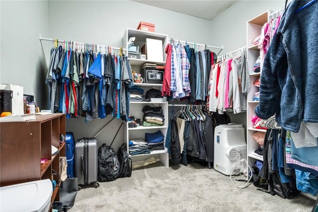 spacious closet with carpet