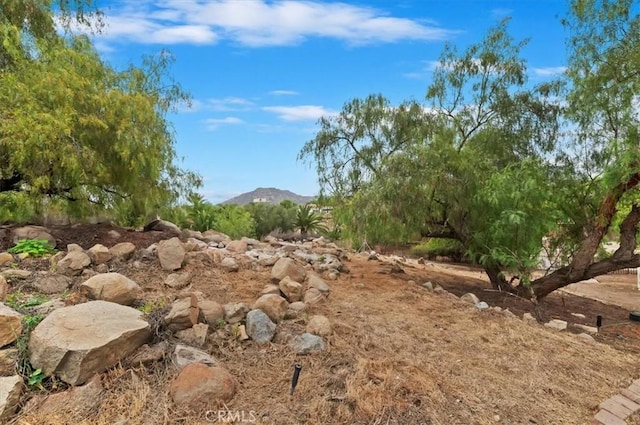 1232 Tucson Ave, Norco, CA 92860 - view of undeveloped land featuring a mountain backdrop