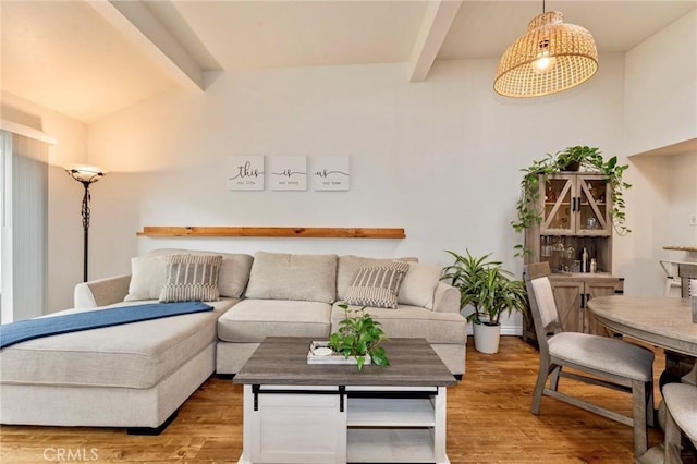 living room with wood finished floors