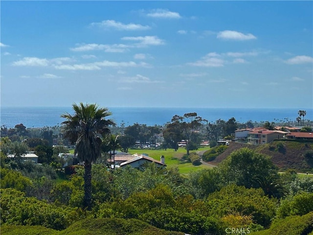 206 Avenida Adobe, San Clemente, CA 92672 - bird's eye view of a nearby body of water