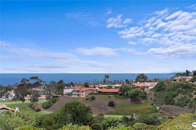 206 Avenida Adobe, San Clemente, CA 92672 - water view