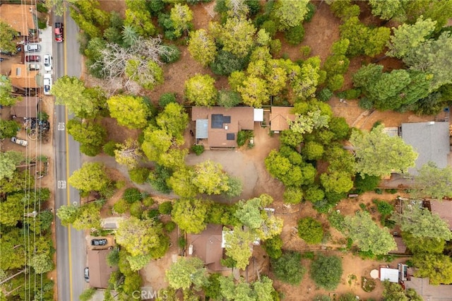 54105 S Circle Dr, Idyllwild, CA 92549 - photo 67