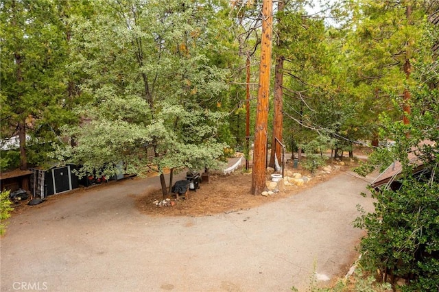 54105 S Circle Dr, Idyllwild, CA 92549 - photo 63