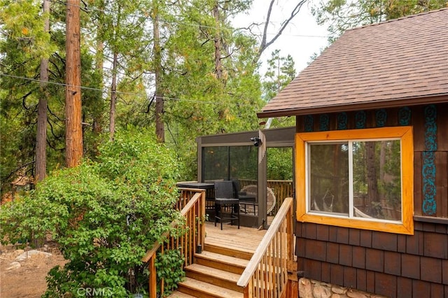 54105 S Circle Dr, Idyllwild, CA 92549 - photo 65