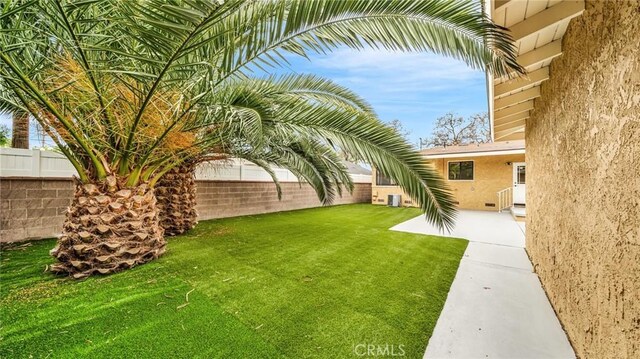 view of yard with a patio