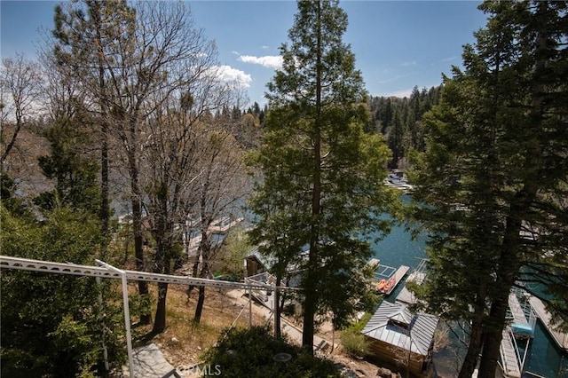28956 Palisades Dr, Lake Arrowhead, CA 92352 - view of property location featuring a forest and a large body of water