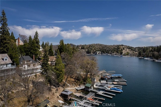 28956 Palisades Dr, Lake Arrowhead, CA 92352 - water view