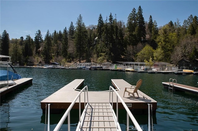 28956 Palisades Dr, Lake Arrowhead, CA 92352 - dock area with a water view