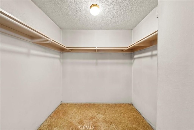 19923 Mildred Ave, Torrance, CA 90503 - walk in closet with carpet flooring