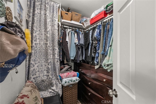 view of walk in closet