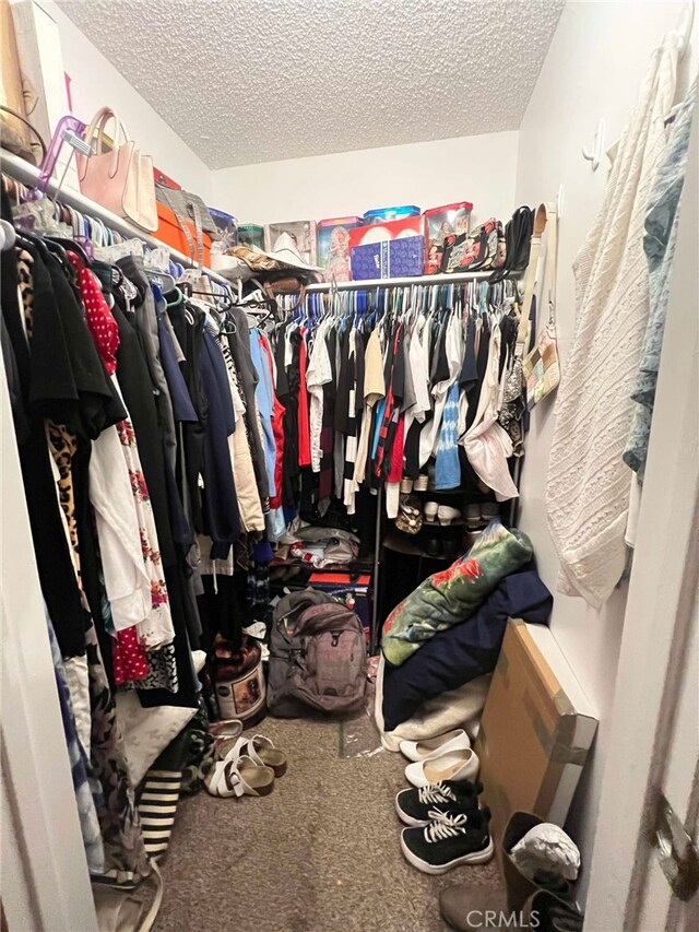 7477 Corona Ave, Hesperia, CA 92345 - walk in closet with carpet