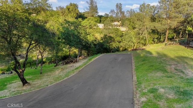 281 Hillcrest Ave, Oroville, CA 95966 - photo 53