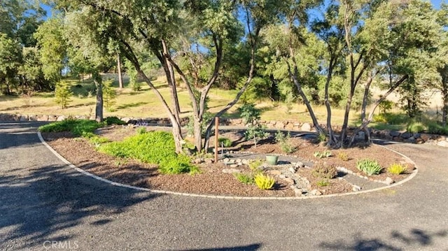 21 Sunflower Ln, Oroville, CA 95966 - view of asphalt road with view of wooded area