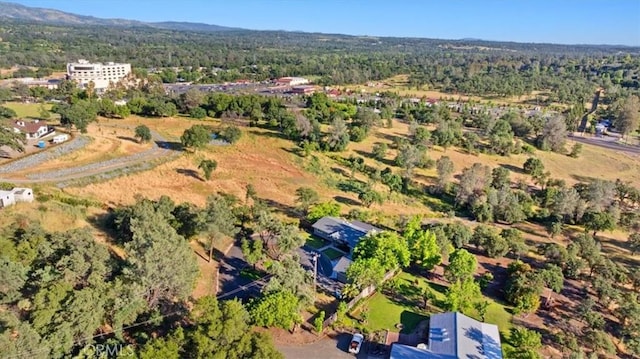 21 Sunflower Ln, Oroville, CA 95966 - drone / aerial view of a forest