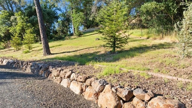21 Sunflower Ln, Oroville, CA 95966 - view of undeveloped land