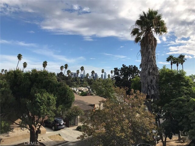1419 Angelus Ave, Los Angeles, CA 90026 - view of local wilderness
